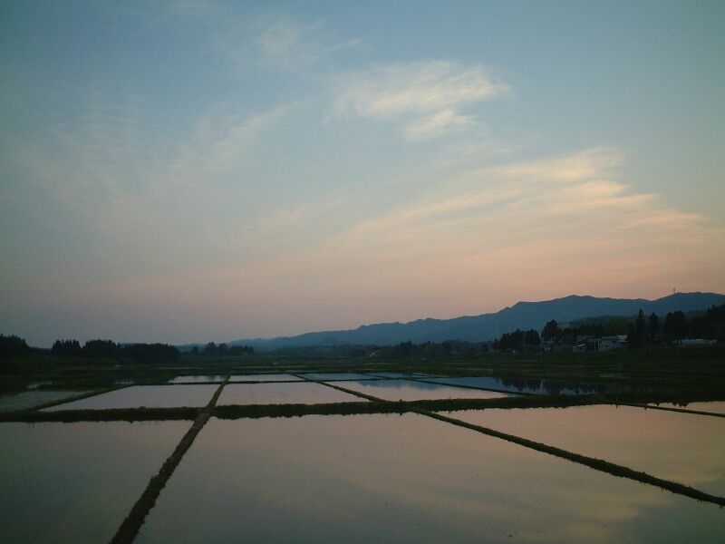 ملف:Paddy fields Akita.jpg