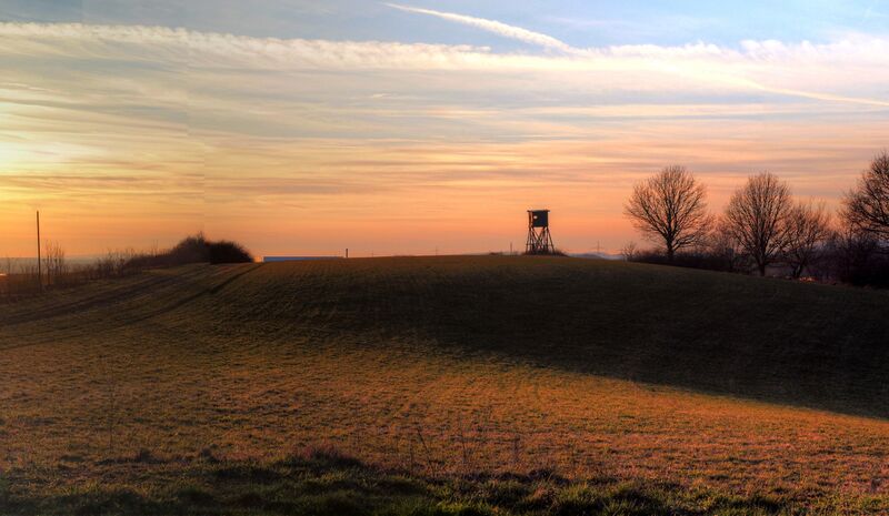 ملف:Rotenberg 01.jpg