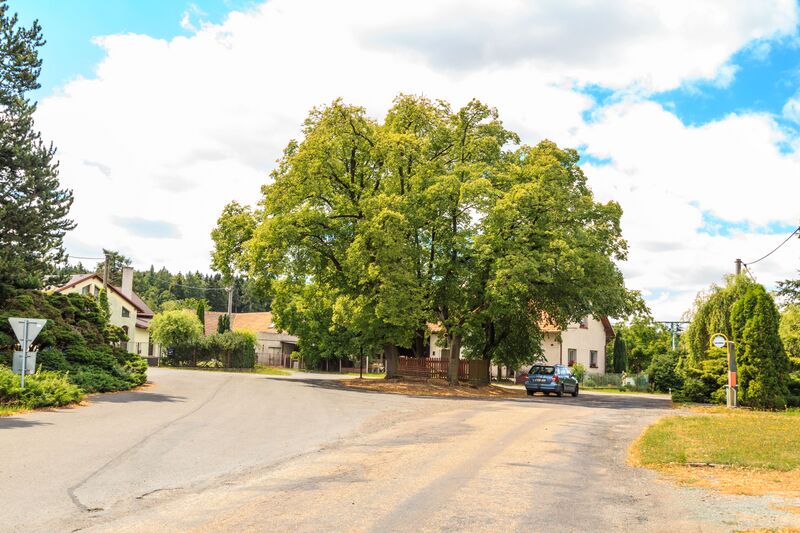 ملف:Slavkovice lípy.jpg