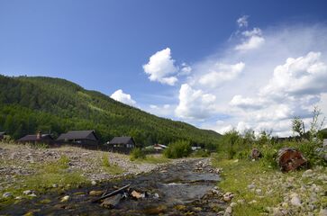 القطط الكبيرة