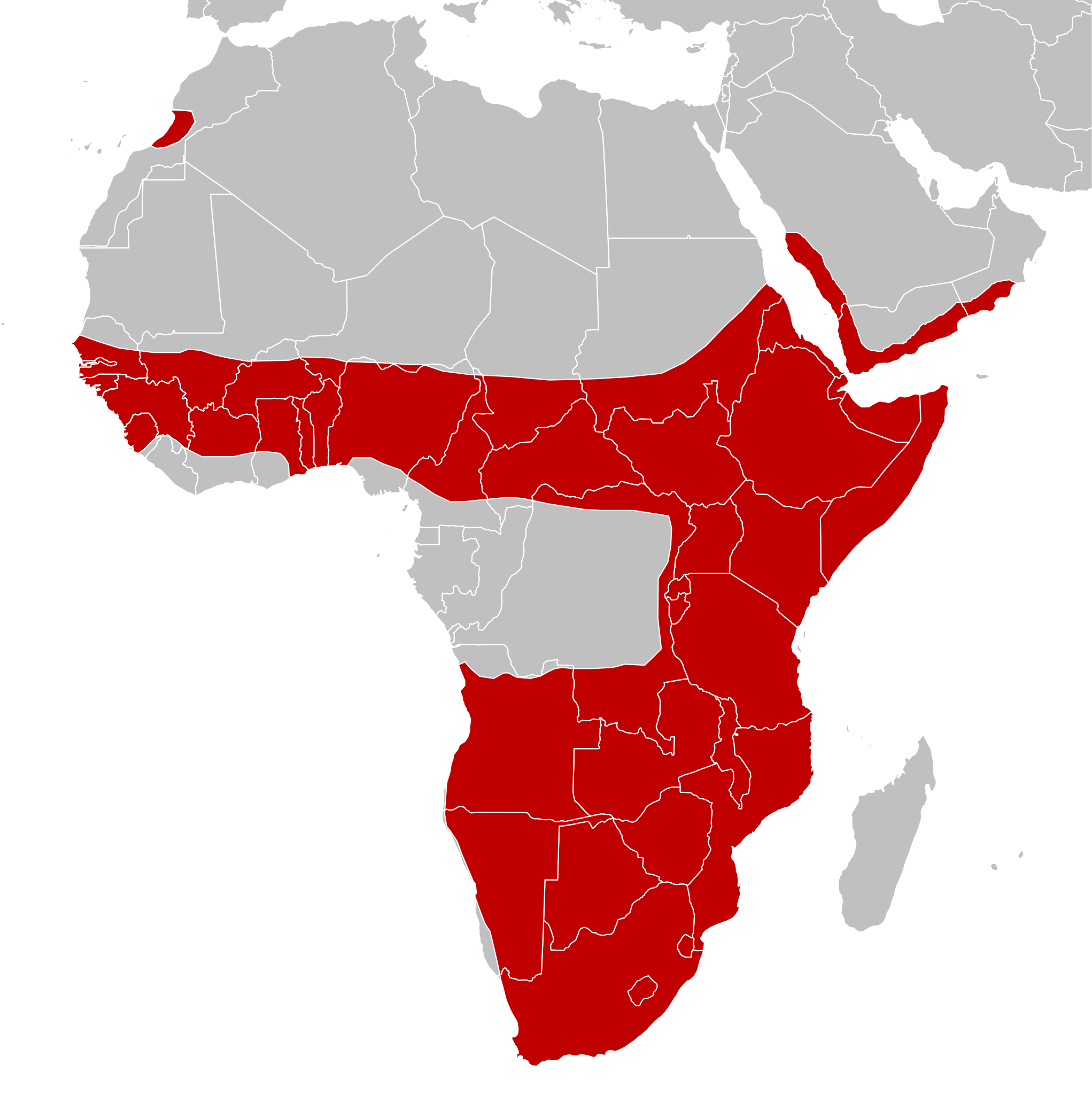 ملف:Bitis arietans distribution map.svg - المعرفة