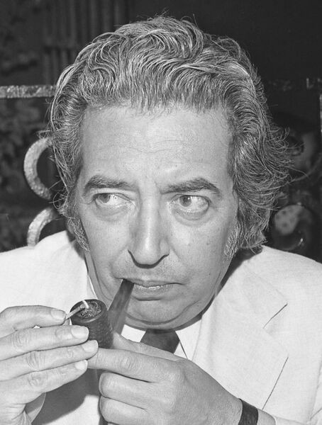 ملف:Irving Wallace, 1972.jpg