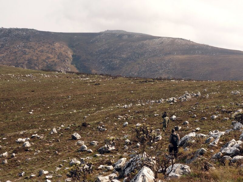 ملف:Mafinga Central.jpg