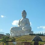 O Grande Buda de Ibiraçu.jpg