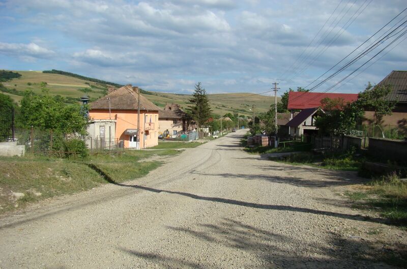 ملف:RO CJ Alunis (21).JPG