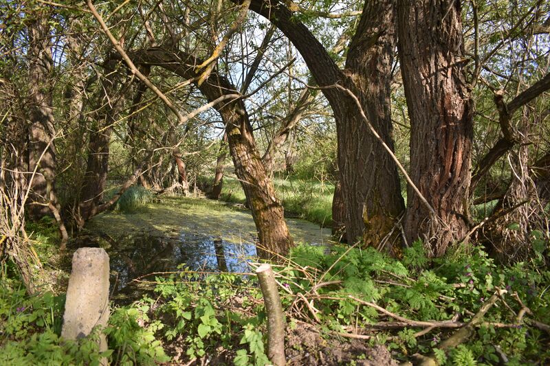 ملف:Павлівка 21.jpg