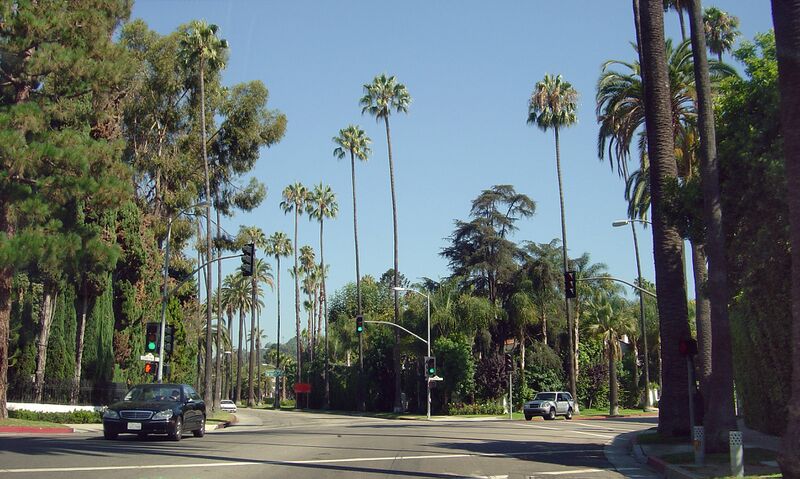 ملف:Bev hills.jpg