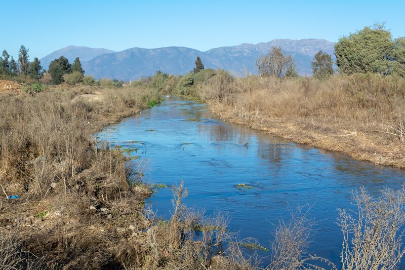 ملف:Estero Limache 20210627 01.jpg