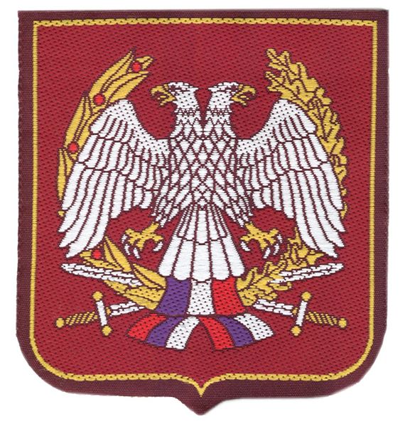 ملف:VSCG arm patch.jpg