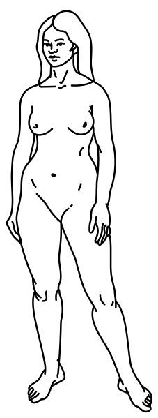 ملف:Woman.svg