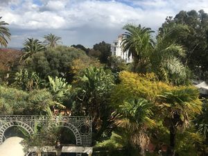 Alger s george IMG 9622.jpg