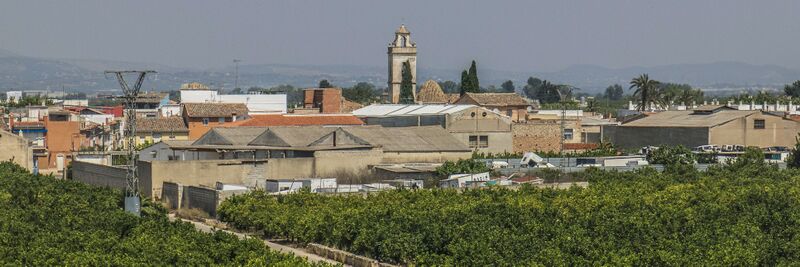 ملف:Cogullada (Carcaixent-País Valencià).jpg