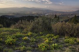 My Public Lands Roadtrip- Cascade-Siskiyou National Monument in oregon (18908781818).jpg