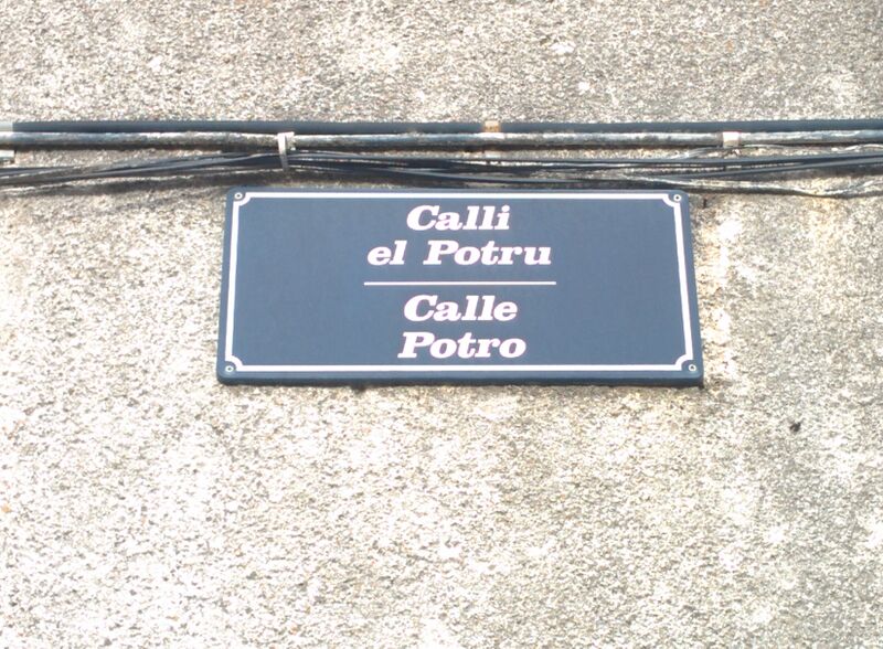 ملف:Robleda, calle Potro.jpg