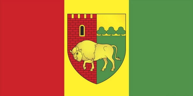 ملف:Флаг каменецкого района.jpg