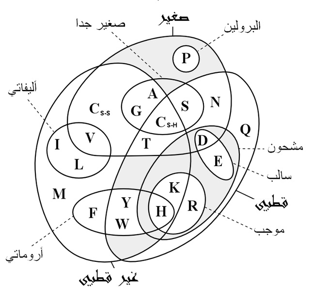ملف:ClassAminoAc-ar.PNG