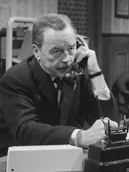 ملف:Jan Teulings (1966).jpg