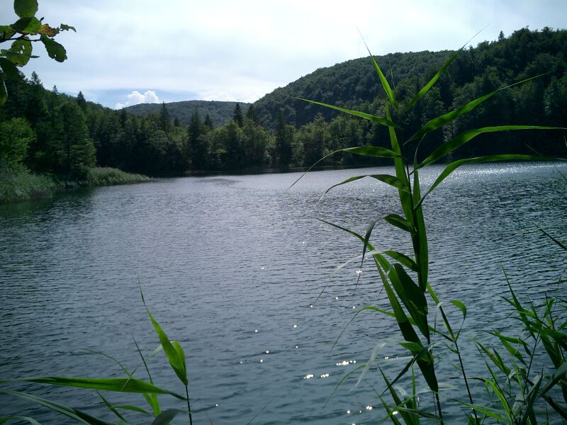 ملف:Jezero kozjak.jpg