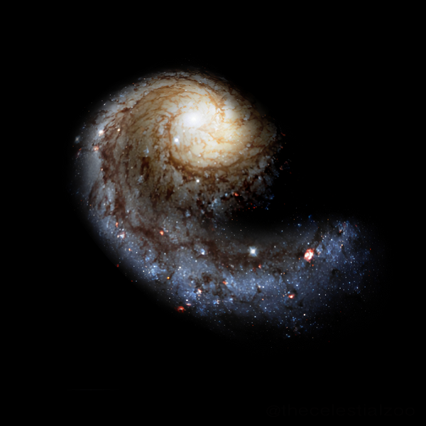 ملف:Perseus arm.png