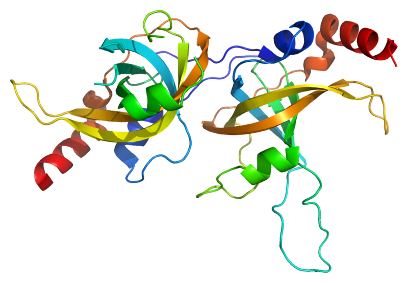 ملف:Protein ACD PDB 2i46.png