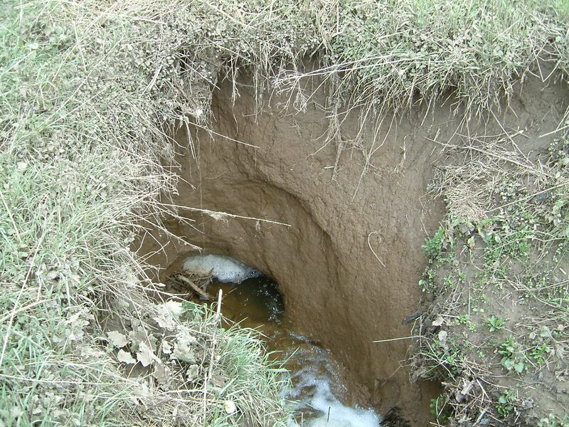 ملف:Schluckloch Entenhöhlen 1.JPG