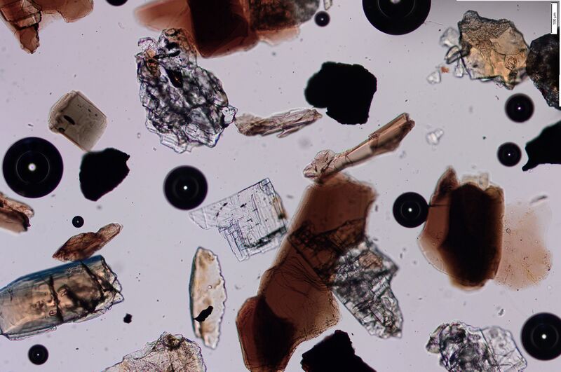 ملف:Ticinetto heavy minerals.jpg