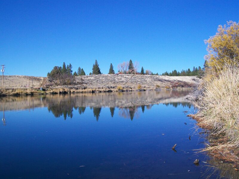 ملف:Williamson River OR.JPG