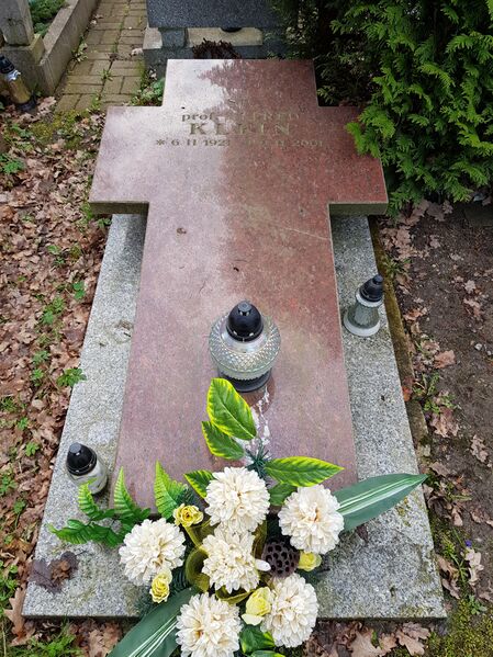 ملف:Alfred Klein 20210420.jpg