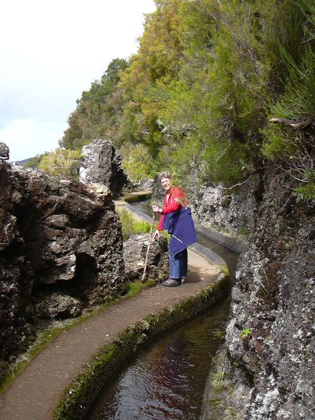 ملف:Levada.jpg