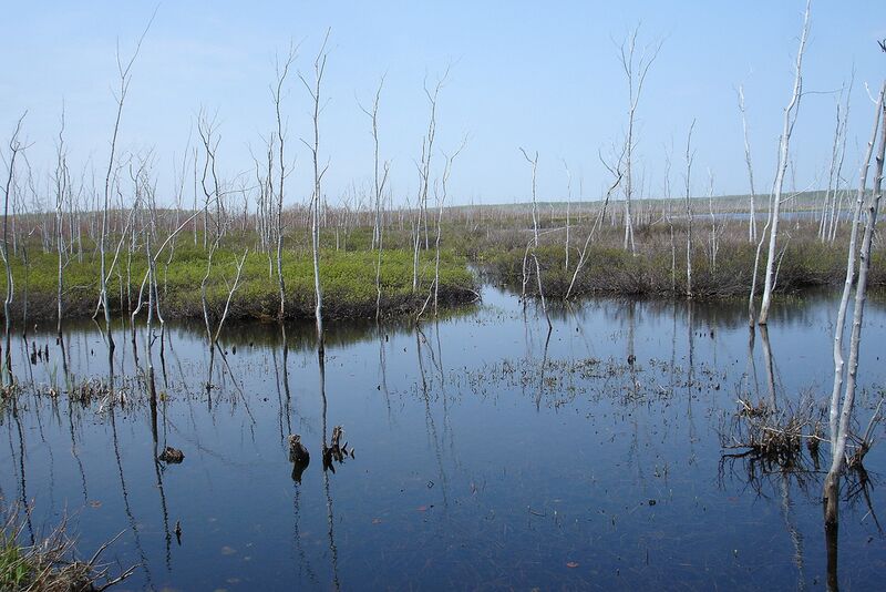 ملف:Rankin River.jpg