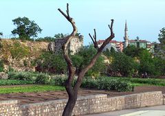 اسطنبول، تركيا: في مناطق عديدة على امتداد سور القسطنطينية، مازالت زراعة المصطبات مستخدمة لإنماء العديد من المحاصيل