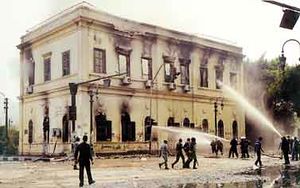 Kalb-1-ab 17 12 2011 23 51.JPG