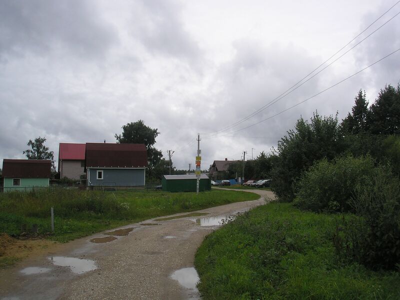 ملف:Lisavino 13.JPG