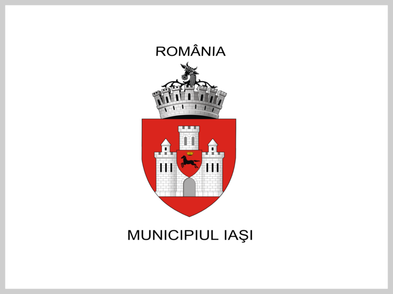 ملف:ROU IS Iasi Flag.png