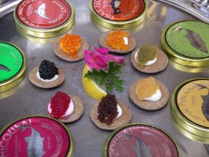 Seven types of caviar.jpg
