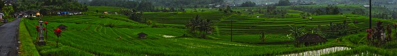 ملف:Bali banner Rice terraces.jpg