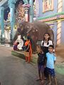 Devotees with Elephant Lakshmi in Manakula Vinayagar Temple in Pondicherry
