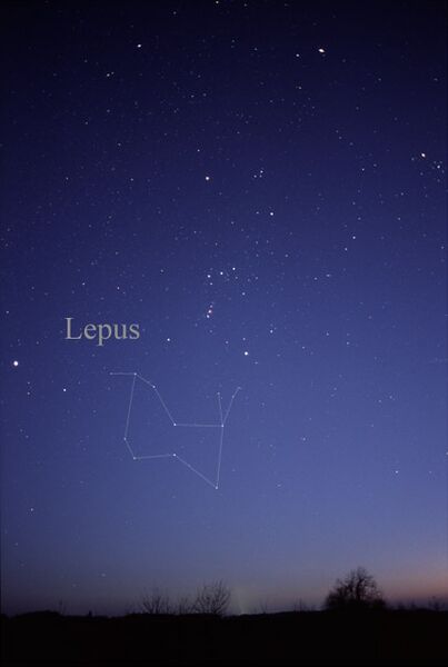 ملف:LepusCC.jpg