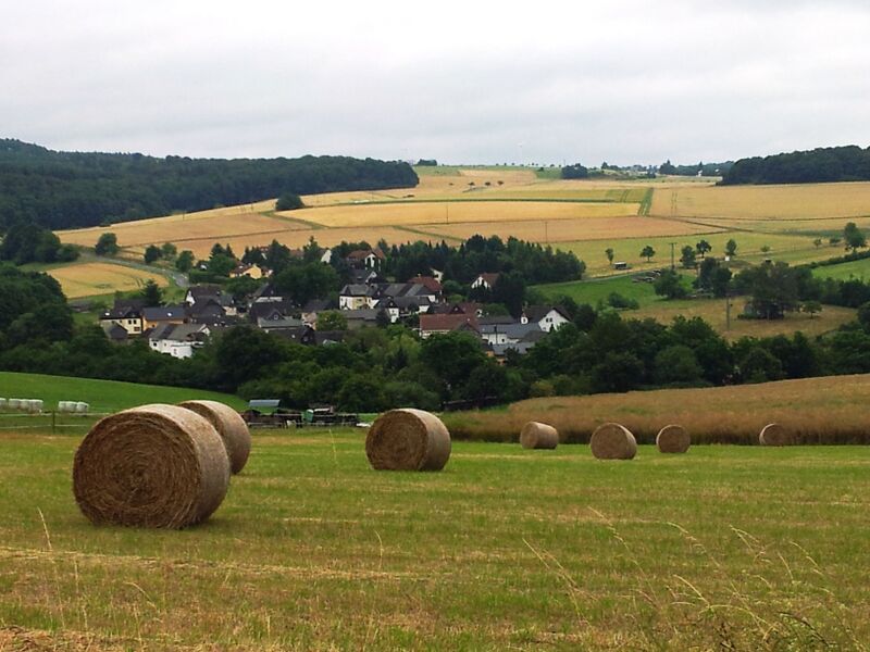 ملف:Obermeiligen im Taunus.jpg