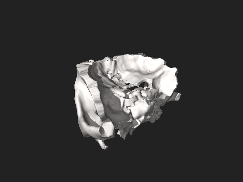 ملف:Orbit of the Face, STL file processed 1.0.0.stl