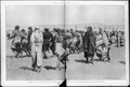 Ghost Dance at Pine Ridge