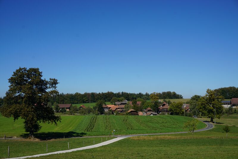 ملف:Herzwil Süd.jpg