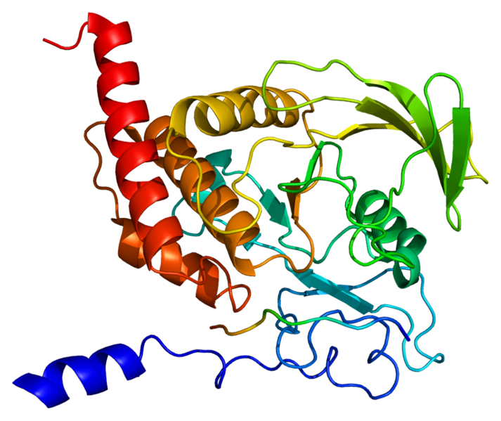ملف:Protein PTPN6 PDB 1fpr.png