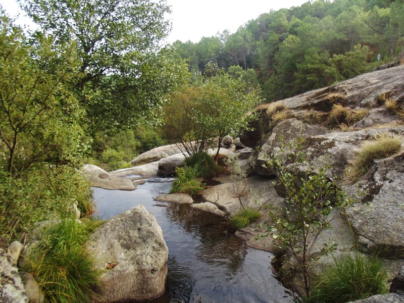 ملف:Río Arbillas 3.JPG