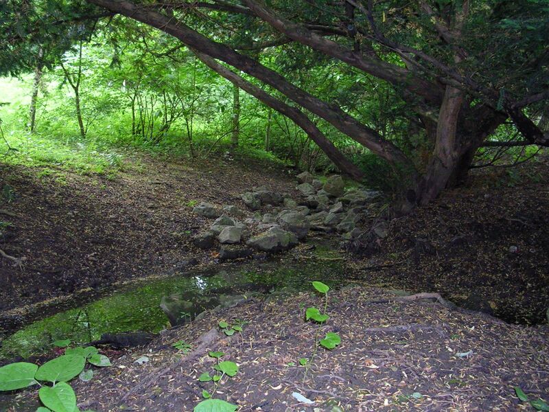 ملف:Wertheimsteinpark Bachbett.JPG