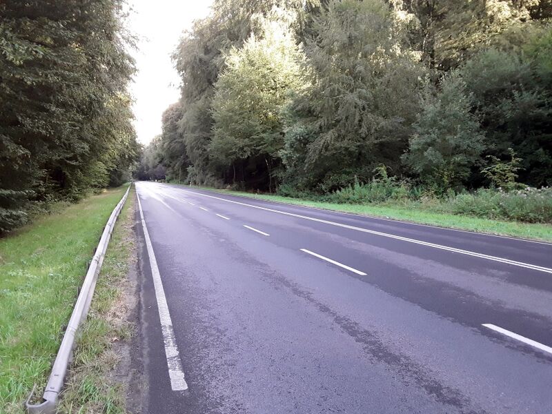 ملف:Contern, Kackeschbësch (est).jpg