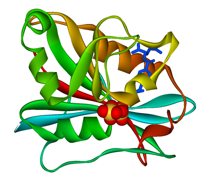 ملف:Dihydrofolate reductase 1DRF.png