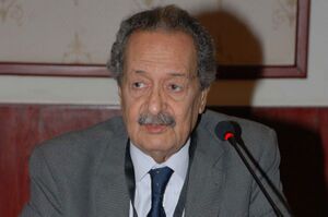 حلمي شعراوي