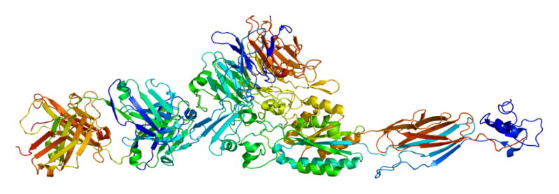 ملف:Protein ITGA2B PDB 1txv.png