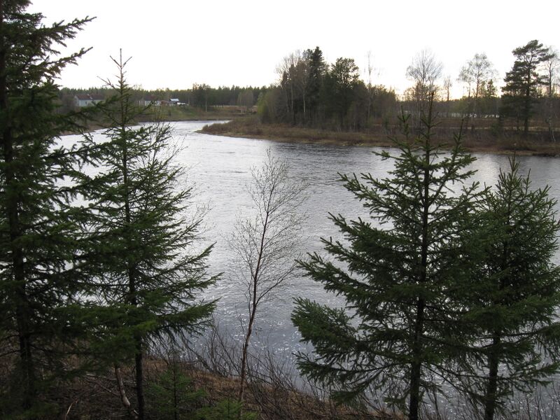 ملف:Siuruanjoki inYli-Ii.JPG